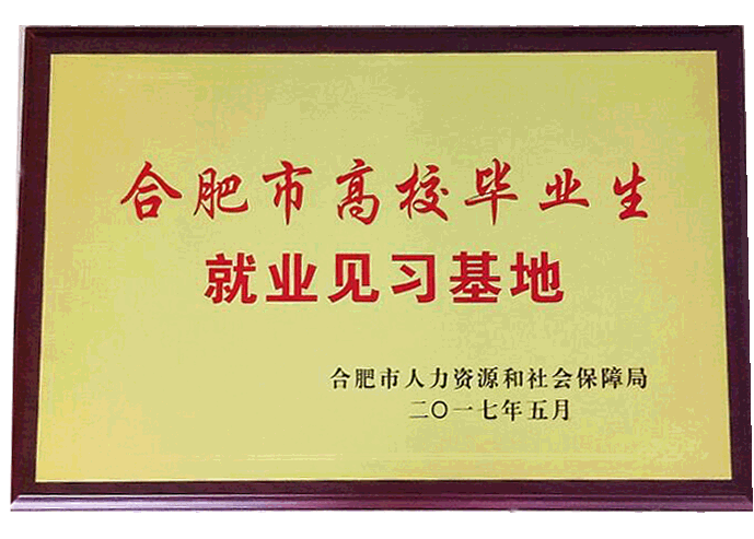 喜訊：公司“合肥市高校畢業(yè)生就業(yè) 見習(xí)基地”申報(bào)成功